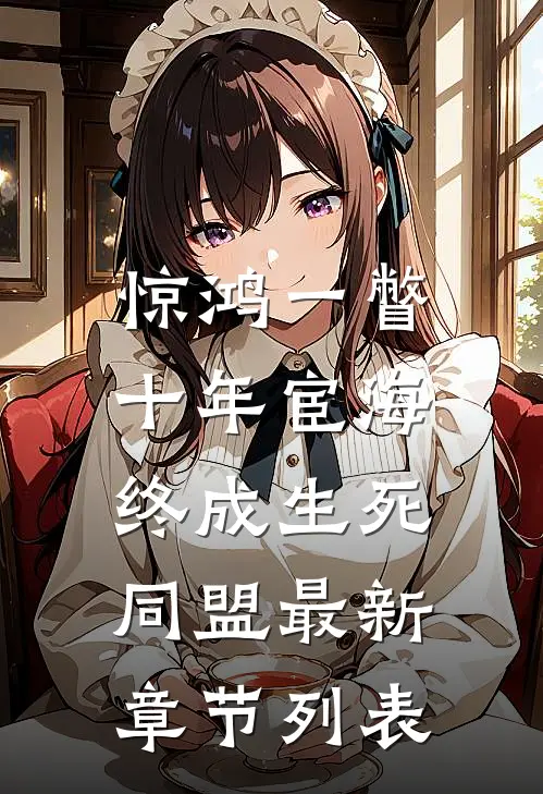 惊鸿一瞥：十年宦海，终成生死同盟最新章节列表