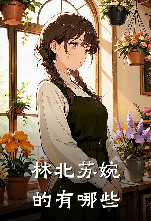 林北苏婉的有哪些