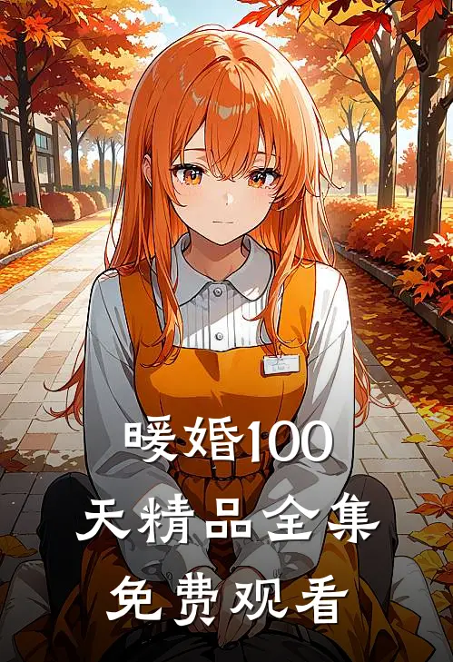 暖婚100天精品全集免费观看