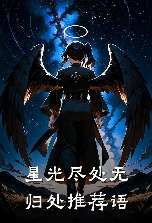 星光尽处无归处推荐语