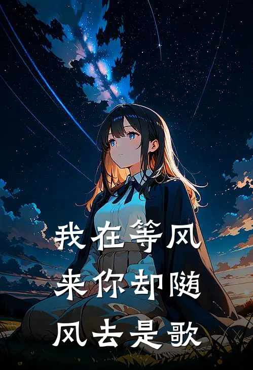 我在等风来你却随风去是歌