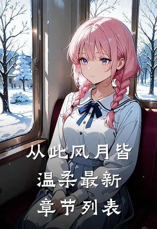 从此风月皆温柔最新章节列表