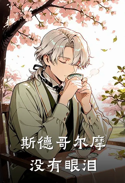 斯德哥尔摩没有眼泪