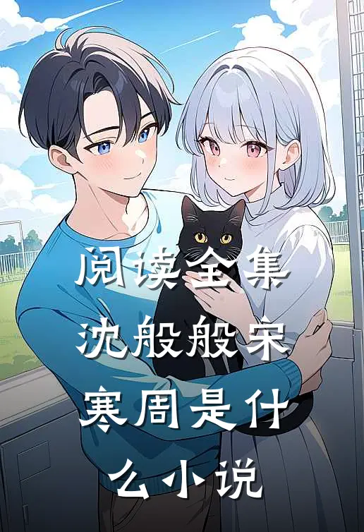 阅读全集沈般般宋寒周是什么小说