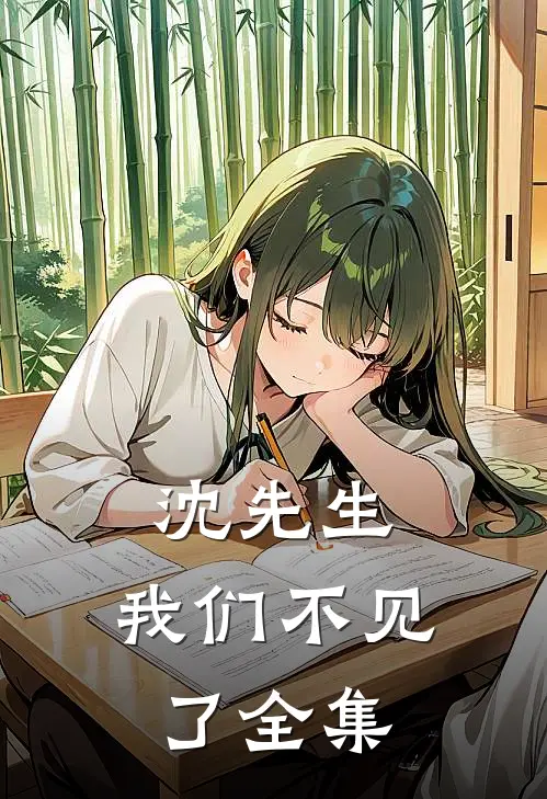 沈先生，我们不见了 全集