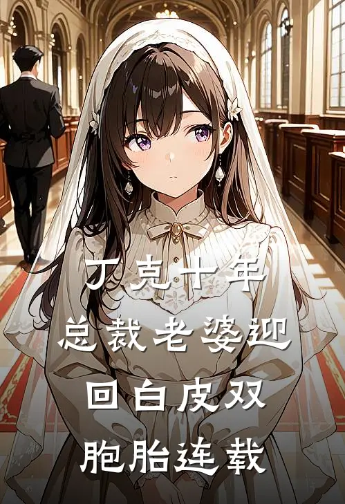 丁克十年，总裁老婆迎回白皮双胞胎连载