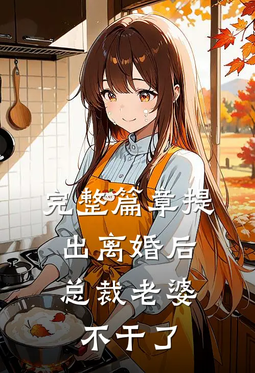 完整篇章提出离婚后，总裁老婆不干了