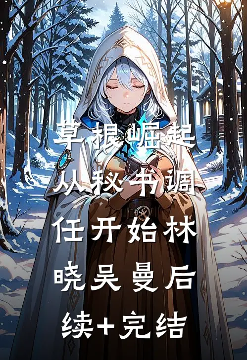 草根崛起：从秘书调任开始林晓吴曼后续+完结