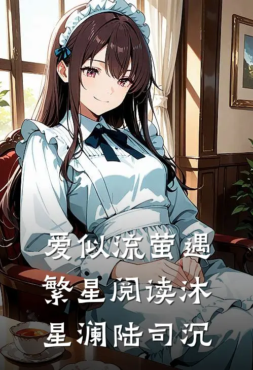 爱似流萤遇繁星阅读沐星澜陆司沉