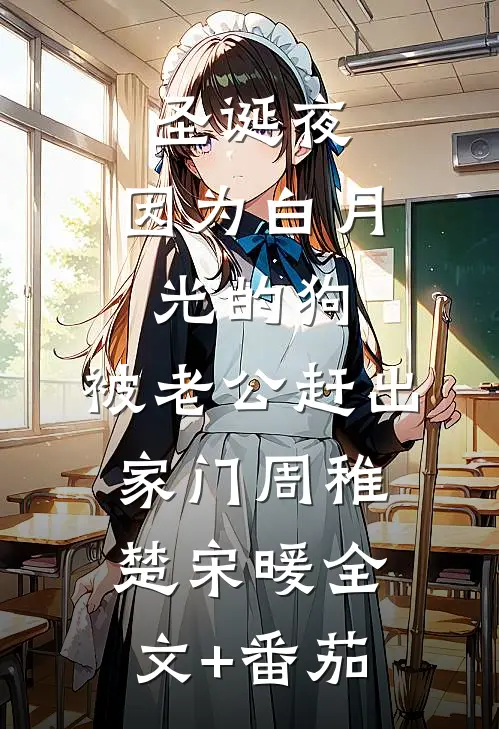 圣诞夜，因为白月光的狗，被老公赶出家门周稚楚宋暖全文+番茄