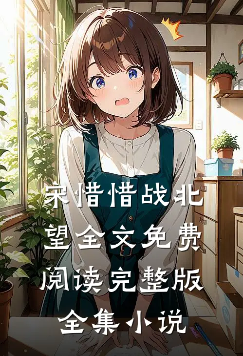 宋惜惜战北望全文免费阅读完整版全集小说