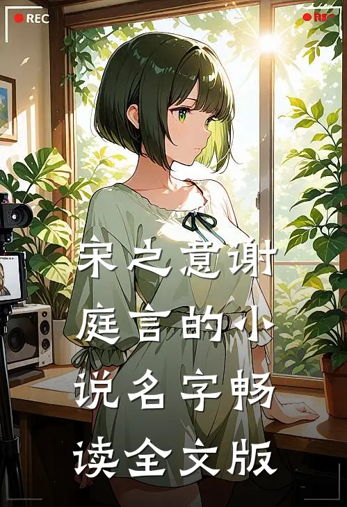 宋之意谢庭言的小说名字畅读全文版