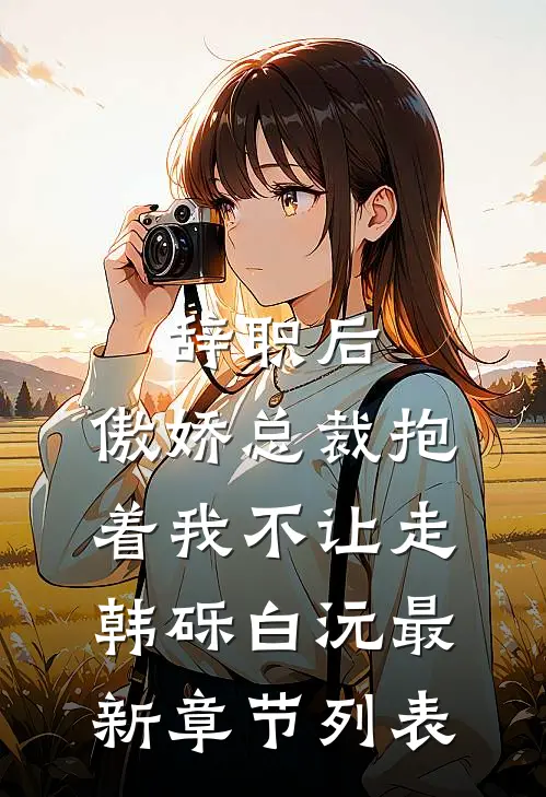 辞职后，傲娇总裁抱着我不让走韩砾白沅最新章节列表