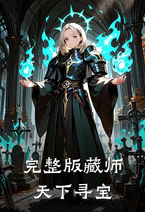 完整版藏师：天下寻宝