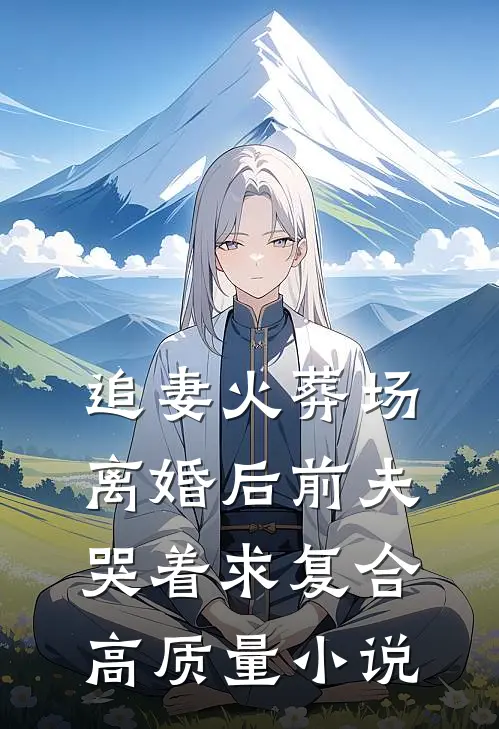追妻火葬场：离婚后前夫哭着求复合高质量小说