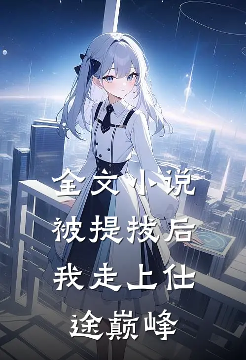 全文小说被提拔后，我走上仕途巅峰