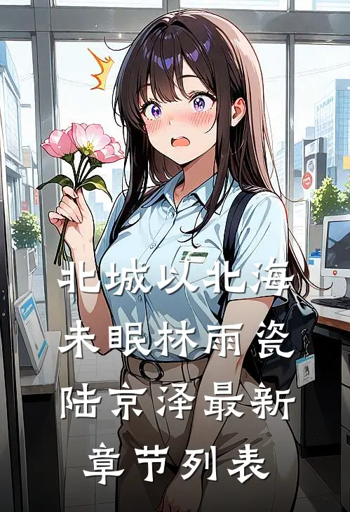 北城以北海未眠林雨瓷陆京泽最新章节列表