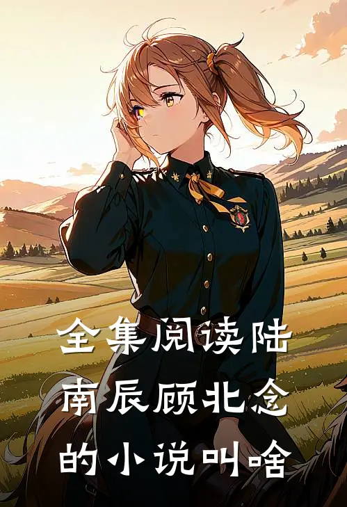 全集阅读陆南辰顾北念的小说叫啥