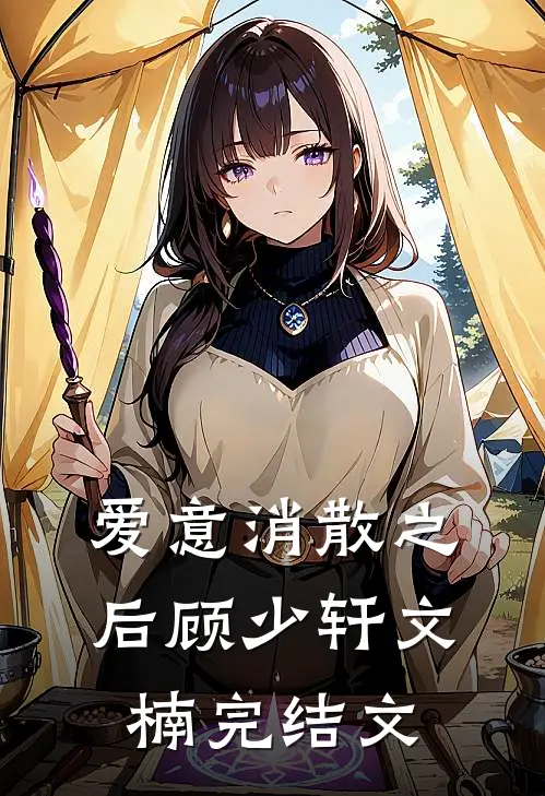 爱意消散之后顾少轩文楠完结文