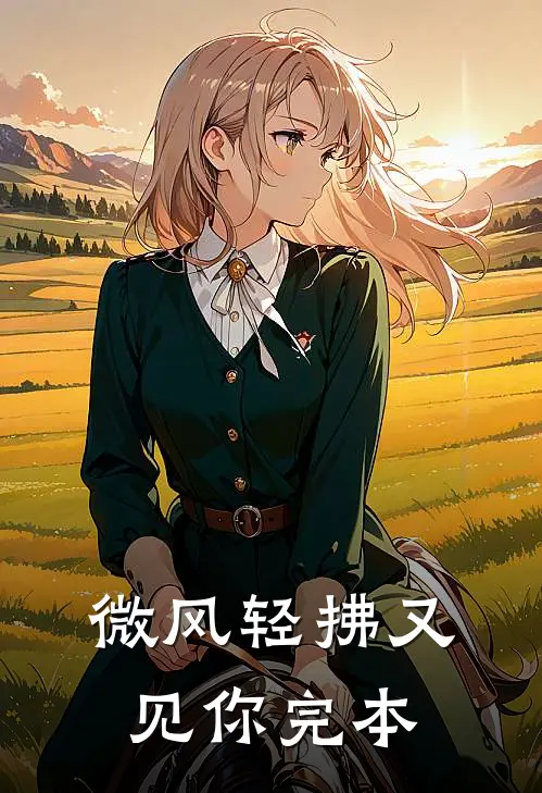 微风轻拂又见你完本