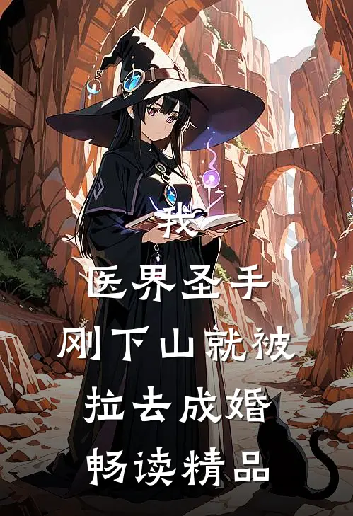 我，医界圣手，刚下山就被拉去成婚畅读精品