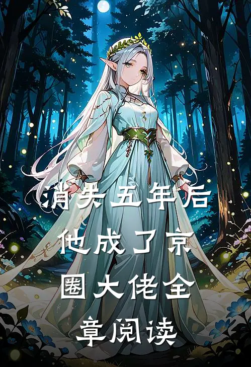 消失五年后，他成了京圈大佬全章阅读