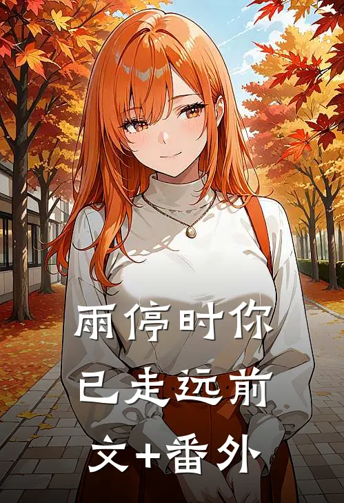 雨停时你已走远前文+番外