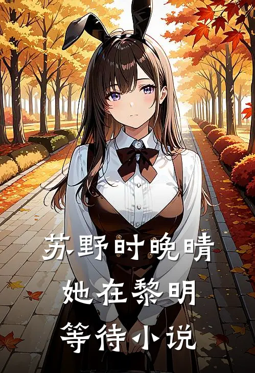 苏野时晚晴她在黎明等待小说