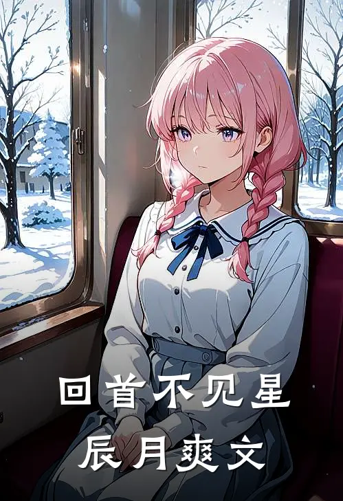 回首不见星辰月爽文