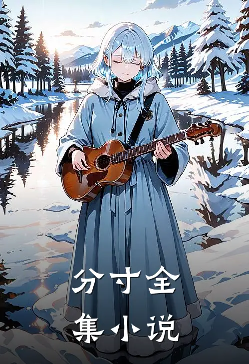 分寸全集小说