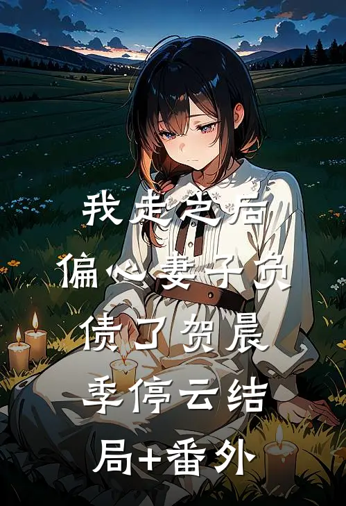 我走之后，偏心妻子负债了贺晨季停云结局+番外