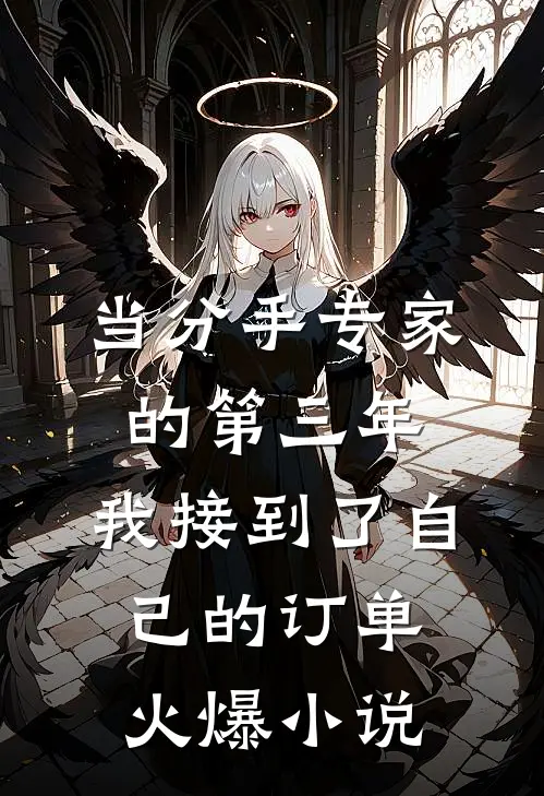 当分手专家的第三年，我接到了自己的订单火爆小说