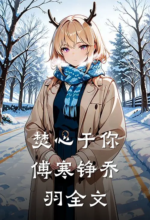 焚心于你傅寒铮乔羽全文