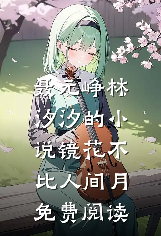 聂元峥林汐汐的小说镜花不比人间月免费阅读