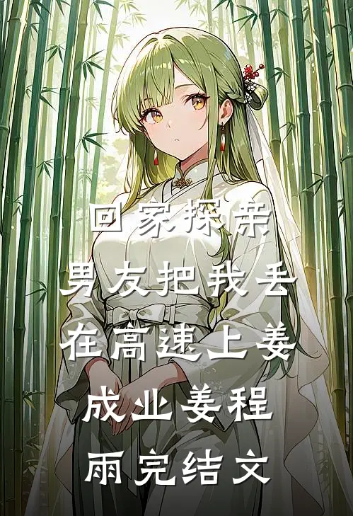 回家探亲，男友把我丢在高速上姜成业姜程雨完结文