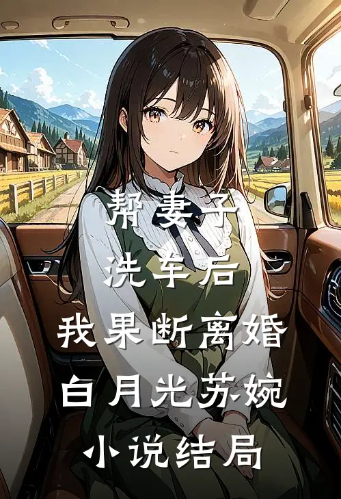 帮妻子洗车后，我果断离婚白月光苏婉小说结局