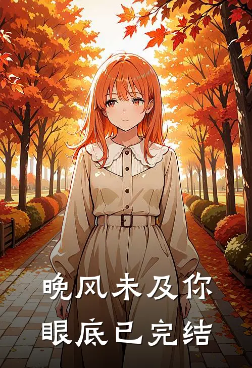 晚风未及你眼底已完结