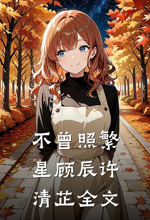 不曾照繁星顾辰许清芷全文