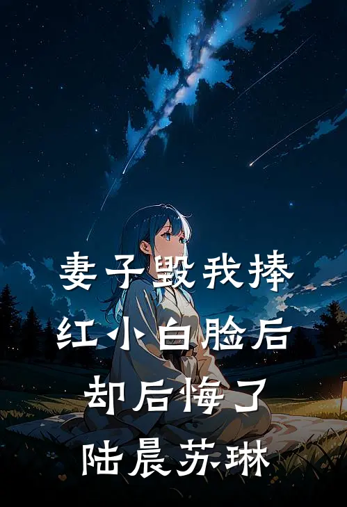 妻子毁我捧红小白脸后却后悔了陆晨苏琳